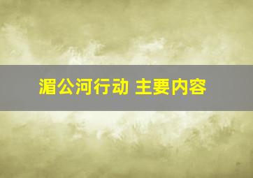 湄公河行动 主要内容